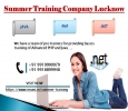 Shape Your Career Through Summer Training Company Lucknow